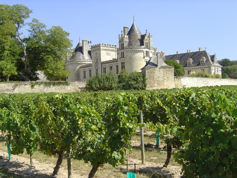 Chateau de Breze.jpg (116162 bytes)