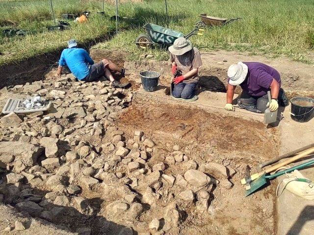 Fossil?