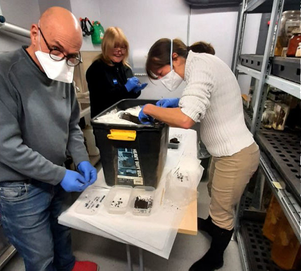 Post-excavation Work