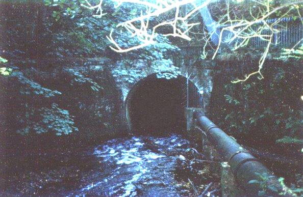 Tunnel_small.jpg (56660 bytes)